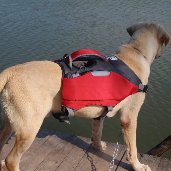 ⁦Pet backpack life jackets⁩ - الصورة ⁦5⁩