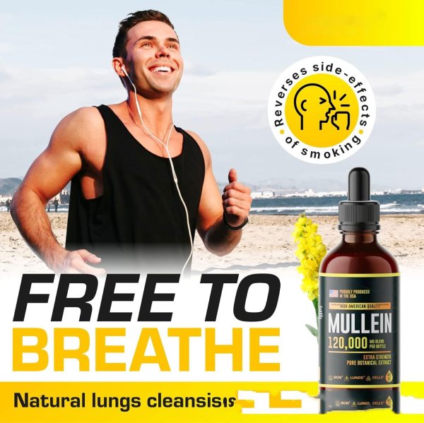 ⁦Droplet Extract For Lung Health⁩ - الصورة ⁦5⁩