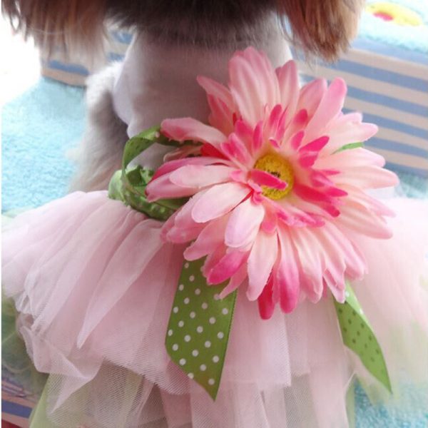 ⁦Pet Clothes Spring And Summer Teddy Dog Clothes Puppy Clothes⁩ - الصورة ⁦4⁩