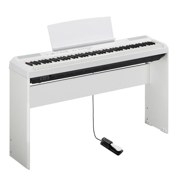 ⁦Universal sustain pedal for electronic piano and electric piano⁩ - الصورة ⁦2⁩