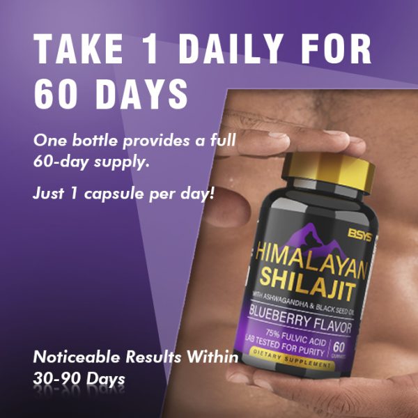 ⁦BSYS SHILAJIT GUMMIES 60'S⁩ - الصورة ⁦2⁩