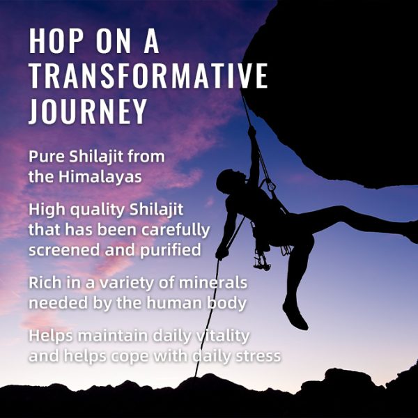 ⁦BSYS SHILAJIT GUMMIES 60'S⁩ - الصورة ⁦4⁩