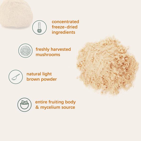 ⁦Food Health Organic Lion Bristle Mushroom Powder⁩ - الصورة ⁦3⁩