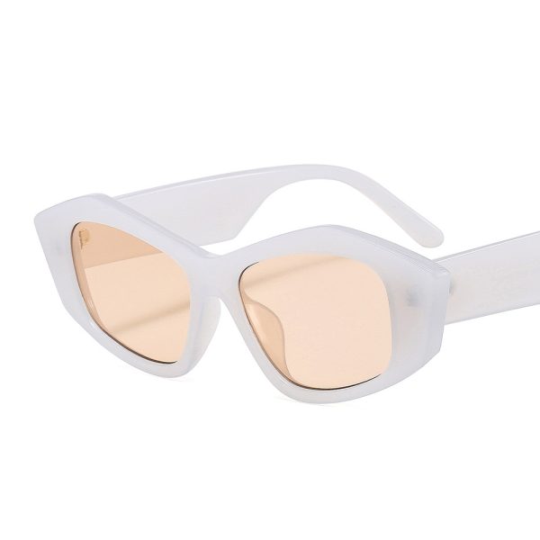 ⁦Striped Sunglasses For Men And Women Small Frame Geometry⁩ - الصورة ⁦9⁩