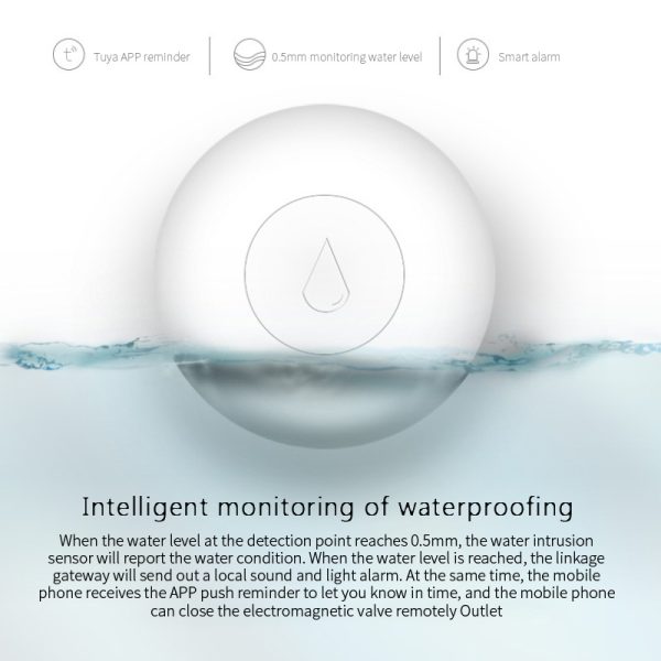 ⁦Wireless Water Sensor Zigbee Smart Home Manufacturer FCCID Authentication CE Authentication⁩ - الصورة ⁦3⁩